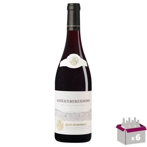 Jean Bouchard Coteaux Bourguignons Rouge V.2022