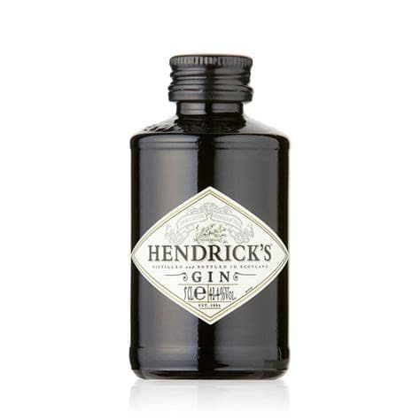 Hendrick's Gin 5 Cl