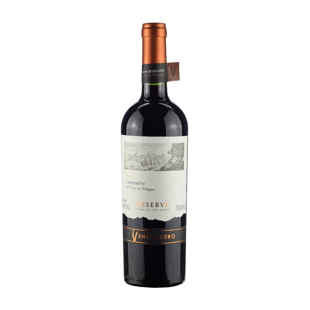 Ventisquero Reserva Carmenere 2022